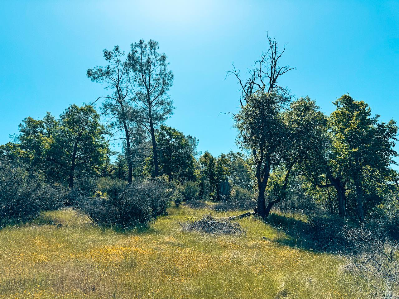 Detail Gallery Image 23 of 30 For 7300 Miller Ranch Rd, Mountain Ranch,  CA 95246 - – Beds | – Baths