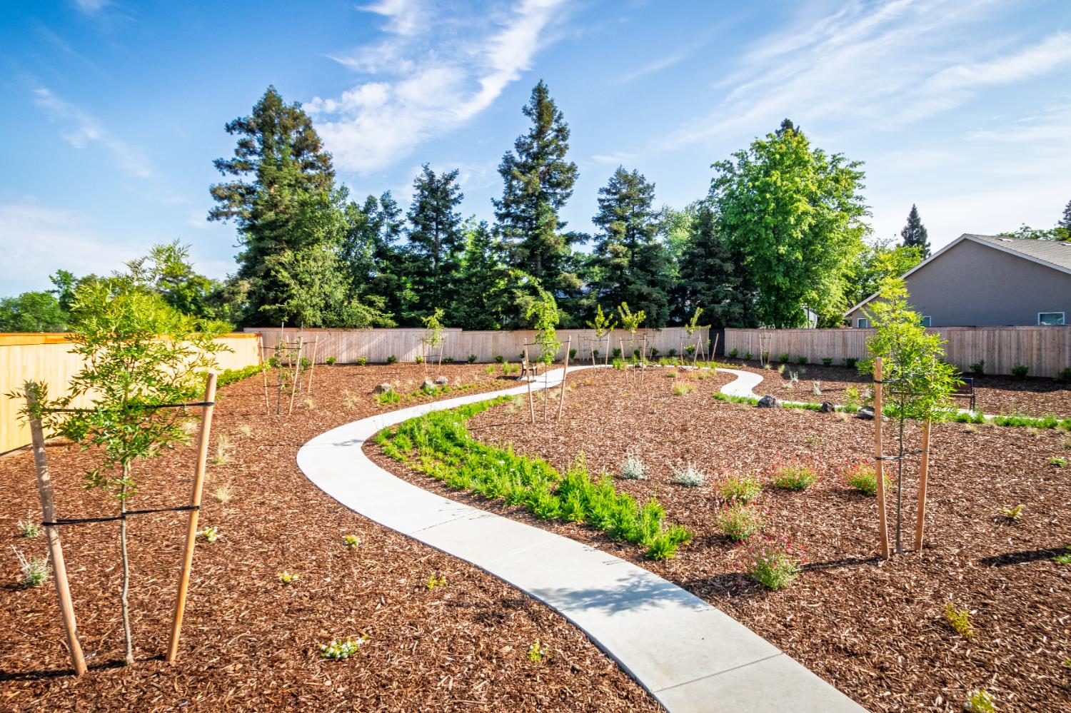 Detail Gallery Image 5 of 9 For 8217 Caminata Ln, Carmichael,  CA 95608 - 3 Beds | 2 Baths