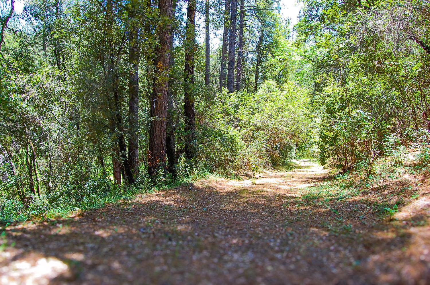Detail Gallery Image 2 of 46 For 14515 Manzanita Rd, Sutter Creek,  CA 95685 - – Beds | – Baths