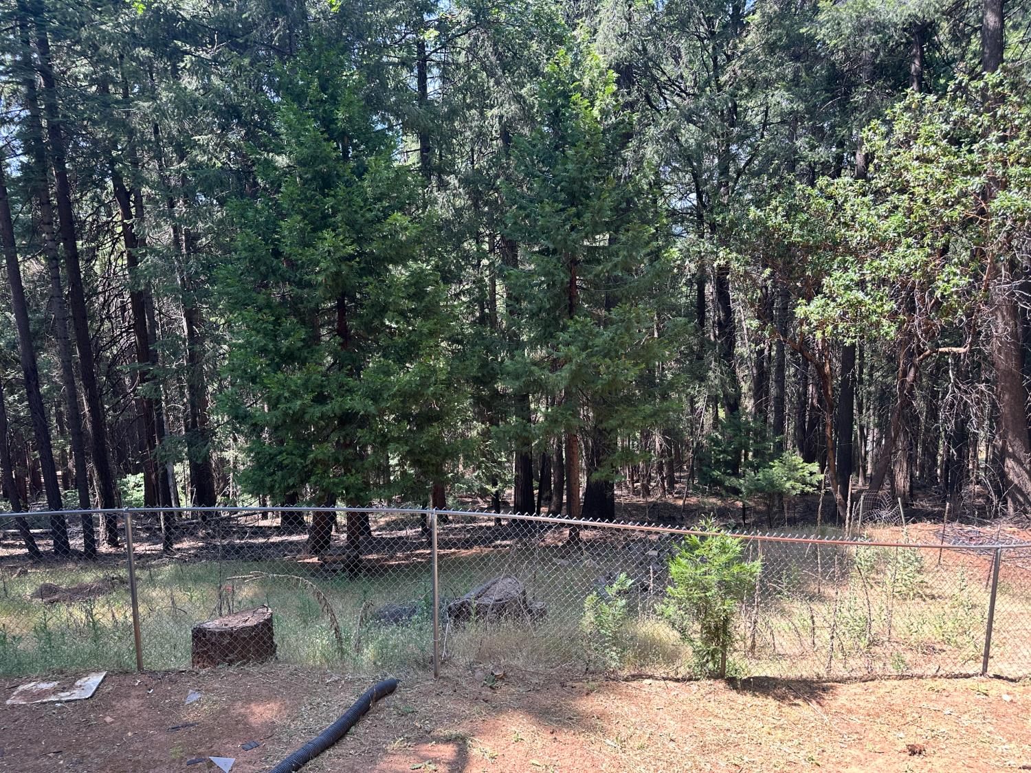 Detail Gallery Image 59 of 69 For 5801 Lupin Ln, Pollock Pines,  CA 95726 - 3 Beds | 3 Baths