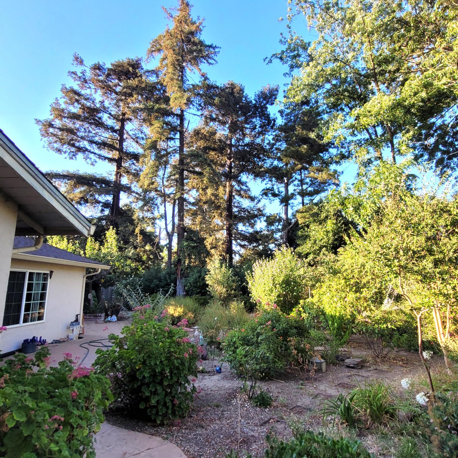 Detail Gallery Image 3 of 23 For 3010 Oregon Ct, Stockton,  CA 95204 - 4 Beds | 2 Baths