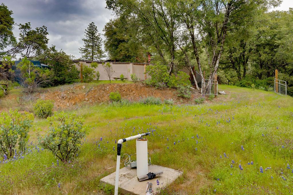 Detail Gallery Image 9 of 15 For 5068 Pappalardo Promenade, Murphys,  CA 95247 - – Beds | – Baths