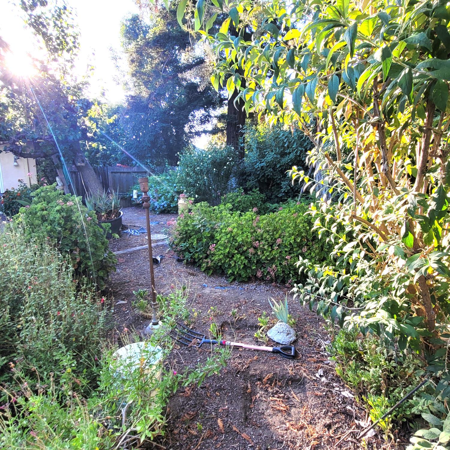 Detail Gallery Image 20 of 23 For 3010 Oregon Ct, Stockton,  CA 95204 - 4 Beds | 2 Baths