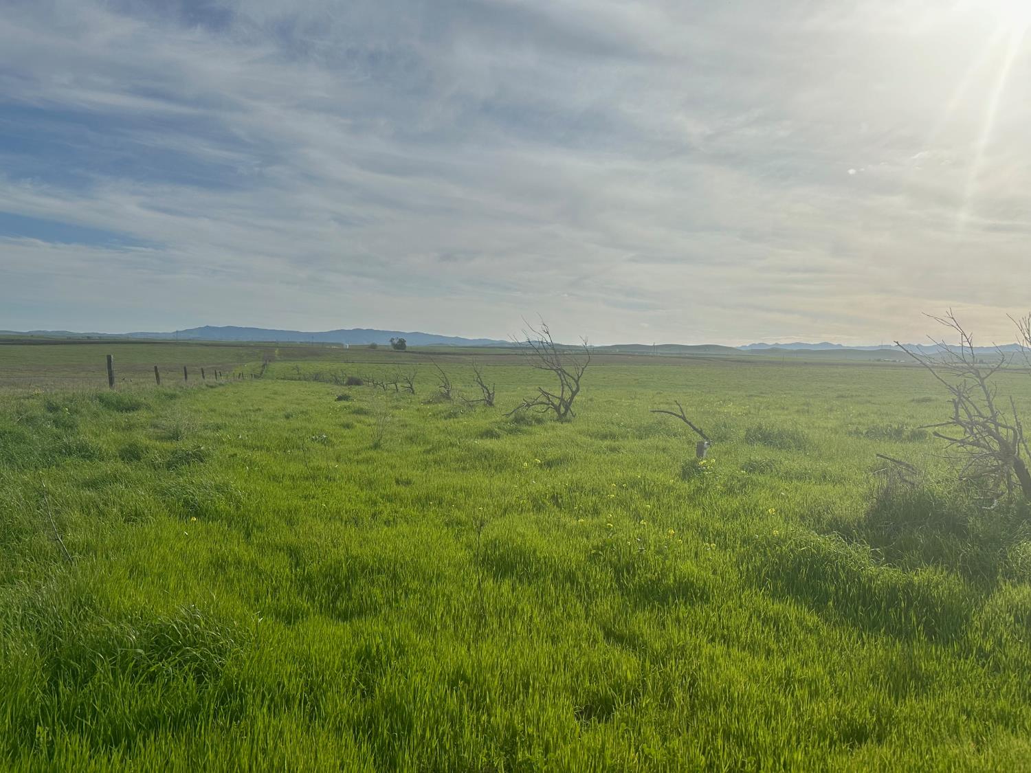 Detail Gallery Image 30 of 53 For 1 Billy Wright Rd, Los Banos,  CA 93635 - – Beds | – Baths