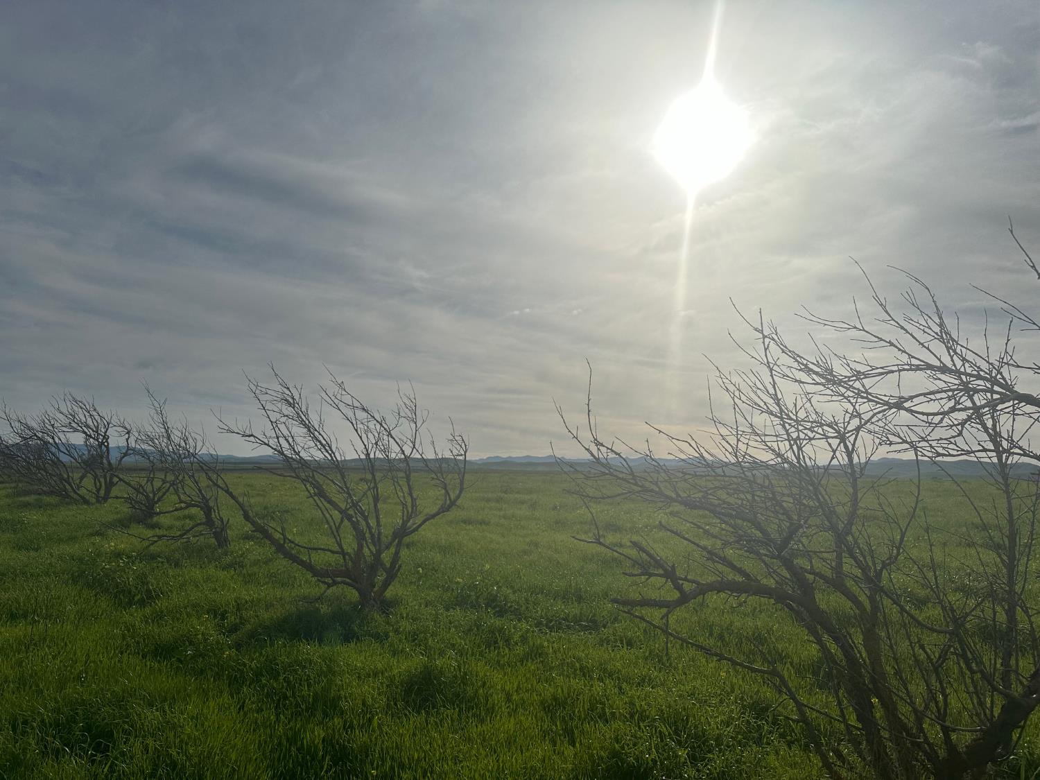 Detail Gallery Image 31 of 53 For 1 Billy Wright Rd, Los Banos,  CA 93635 - – Beds | – Baths
