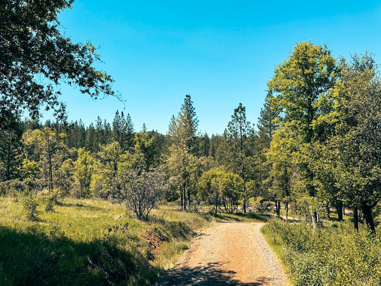 Detail Gallery Image 17 of 30 For 7300 Miller Ranch Rd, Mountain Ranch,  CA 95246 - – Beds | – Baths