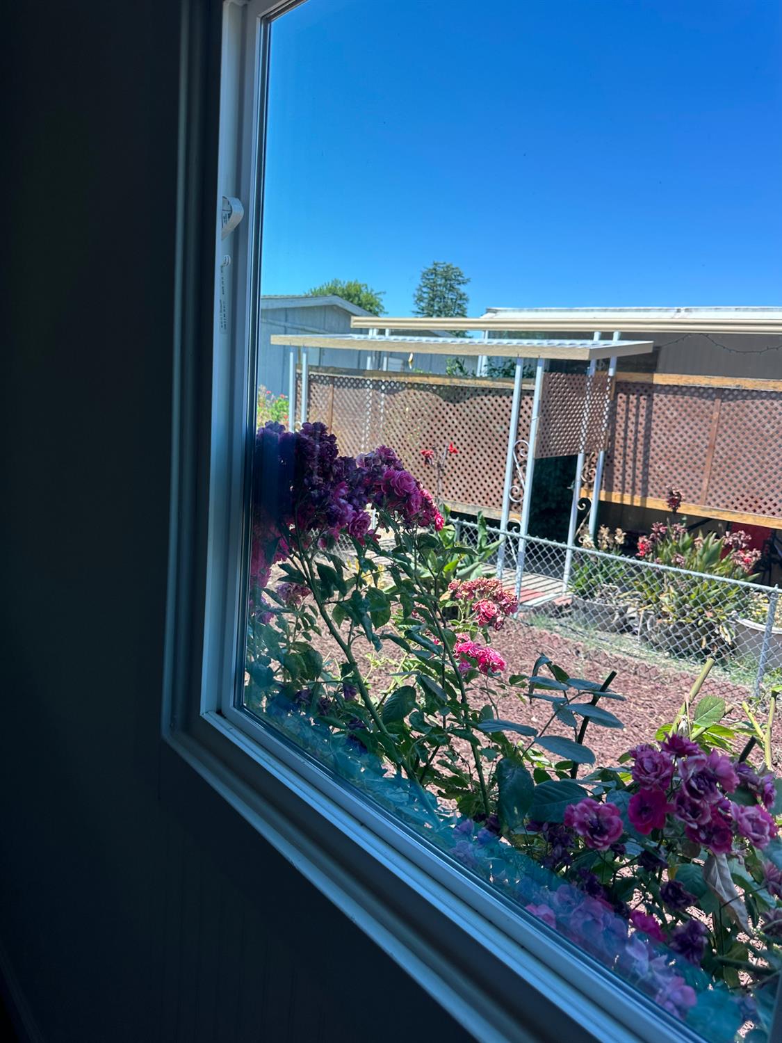 Detail Gallery Image 20 of 20 For 18450 N Hwy 88 60, Lockeford,  CA 95237 - 3 Beds | 2 Baths
