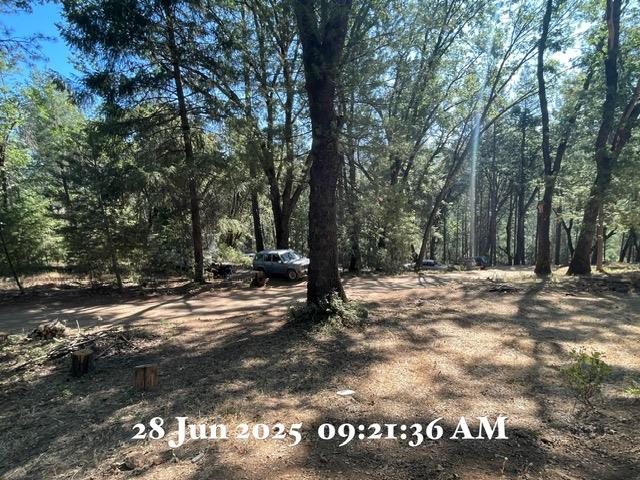 Detail Gallery Image 13 of 15 For 0 Carpenter Rd, Colfax,  CA 95713 - – Beds | – Baths