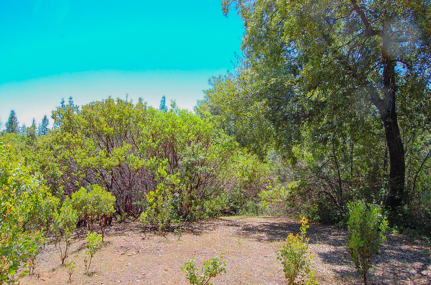 Detail Gallery Image 1 of 46 For 14515 Manzanita Rd, Sutter Creek,  CA 95685 - – Beds | – Baths