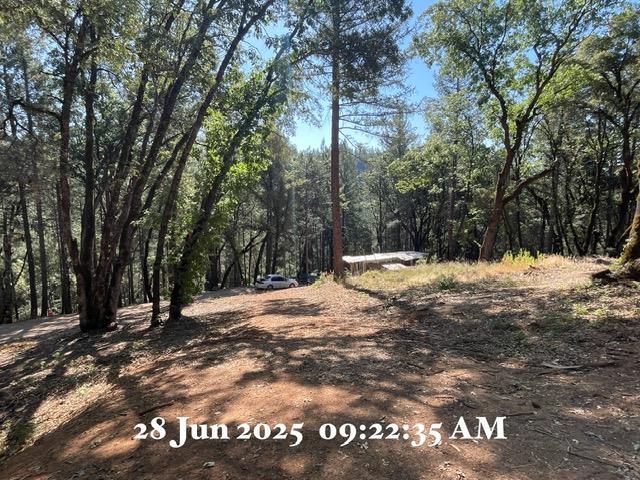 Detail Gallery Image 8 of 15 For 0 Carpenter Rd, Colfax,  CA 95713 - – Beds | – Baths