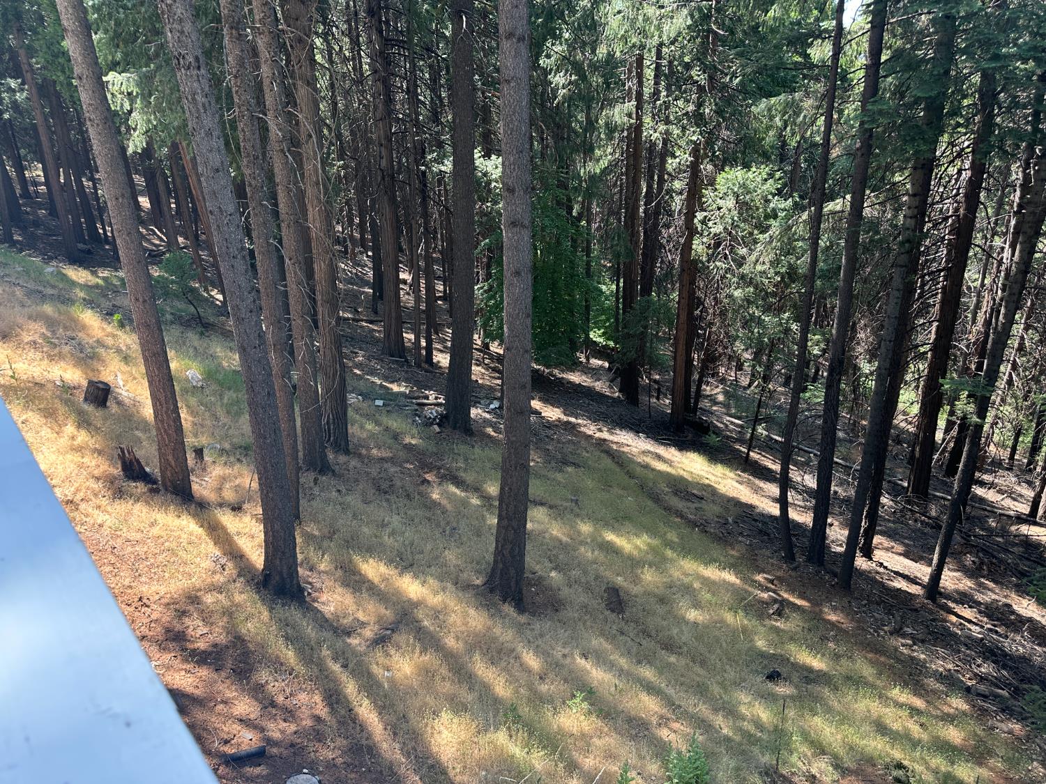 Detail Gallery Image 68 of 69 For 5801 Lupin Ln, Pollock Pines,  CA 95726 - 3 Beds | 3 Baths