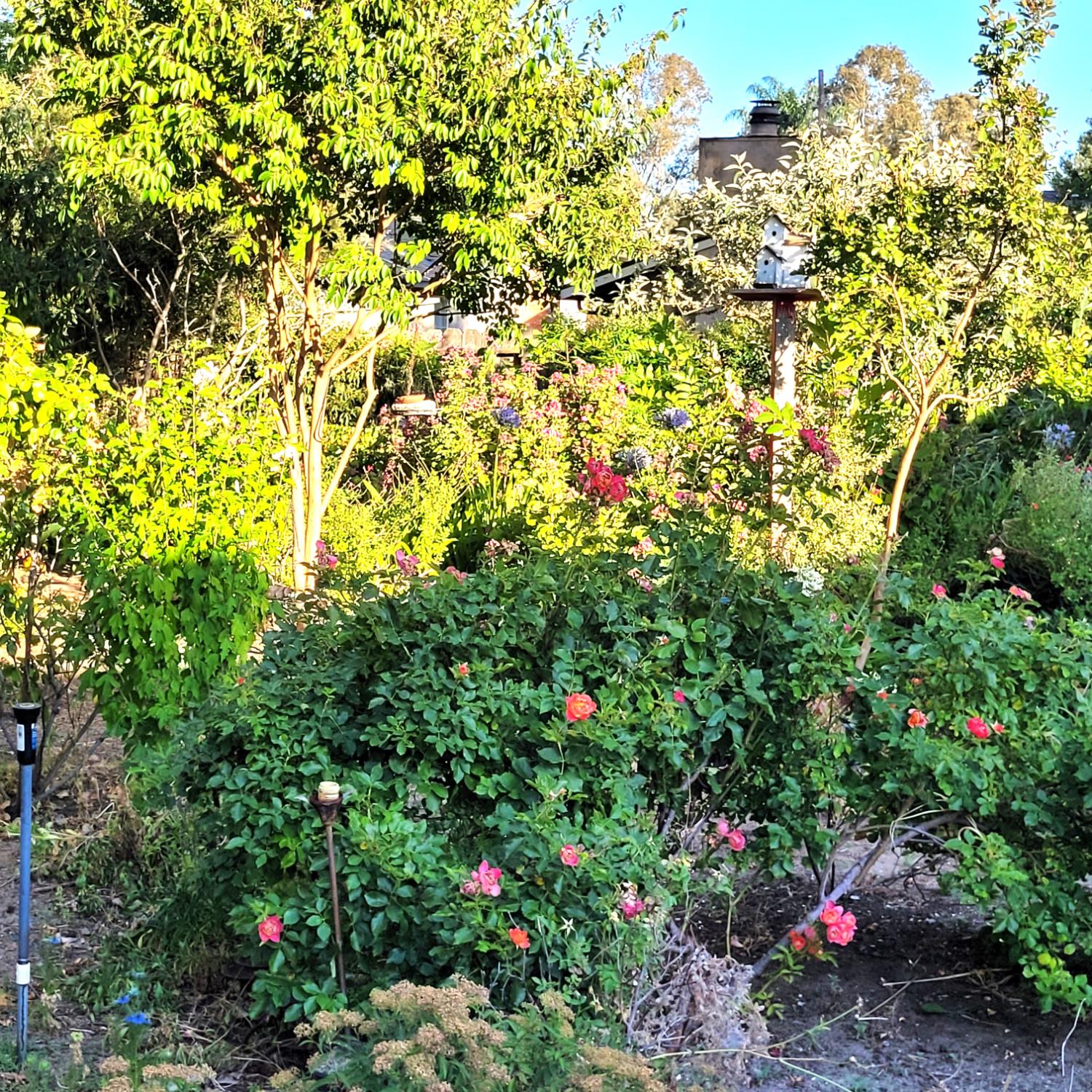 Detail Gallery Image 22 of 23 For 3010 Oregon Ct, Stockton,  CA 95204 - 4 Beds | 2 Baths