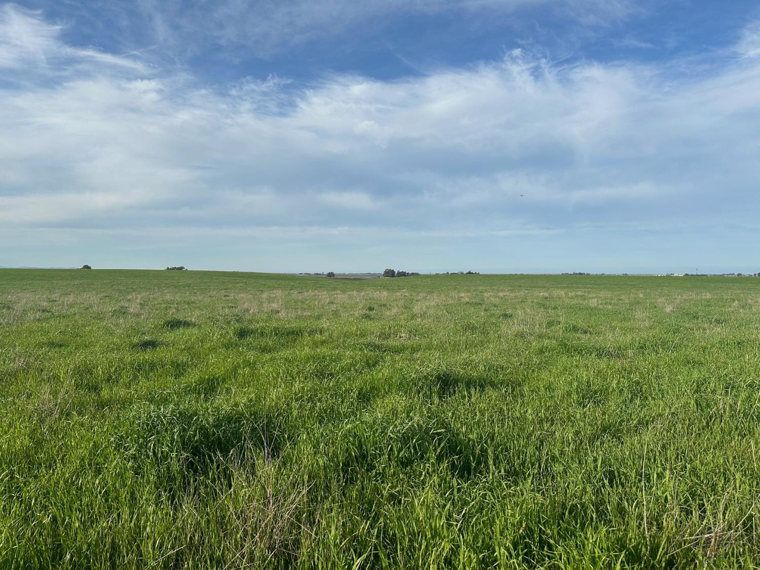 Detail Gallery Image 26 of 53 For 1 Billy Wright Rd, Los Banos,  CA 93635 - – Beds | – Baths
