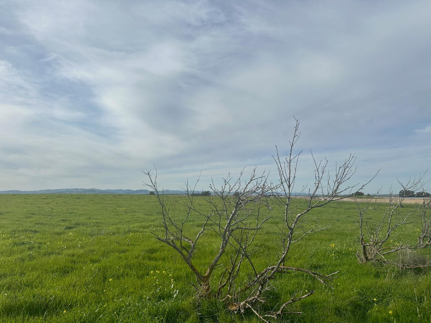 Detail Gallery Image 25 of 53 For 1 Billy Wright Rd, Los Banos,  CA 93635 - – Beds | – Baths