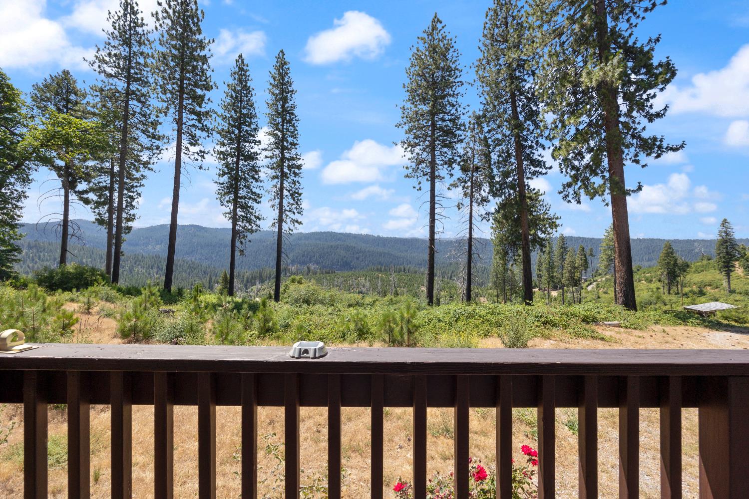 Detail Gallery Image 5 of 37 For 8009 Spring Valley Rd, Pollock Pines,  CA 95726 - 3 Beds | 2 Baths