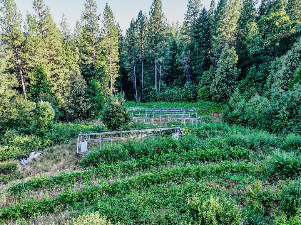 Detail Gallery Image 43 of 76 For 14843 Youngs Hill Rd, Camptonville,  CA 95922 - 2 Beds | 1 Baths