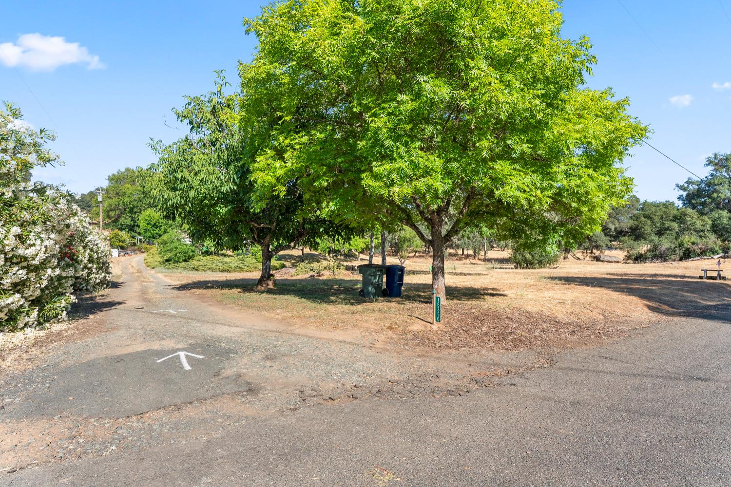 Detail Gallery Image 19 of 52 For 18350 Live Oak Ct, Plymouth,  CA 95669 - 3 Beds | 2/1 Baths