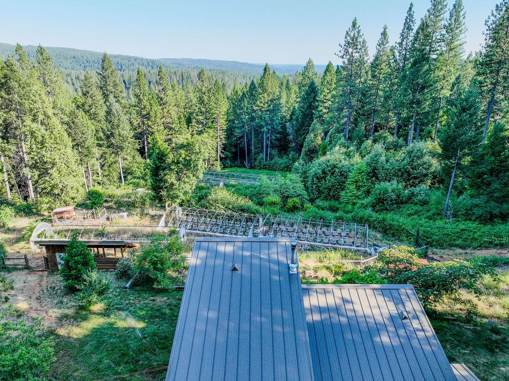Detail Gallery Image 31 of 76 For 14843 Youngs Hill Rd, Camptonville,  CA 95922 - 2 Beds | 1 Baths