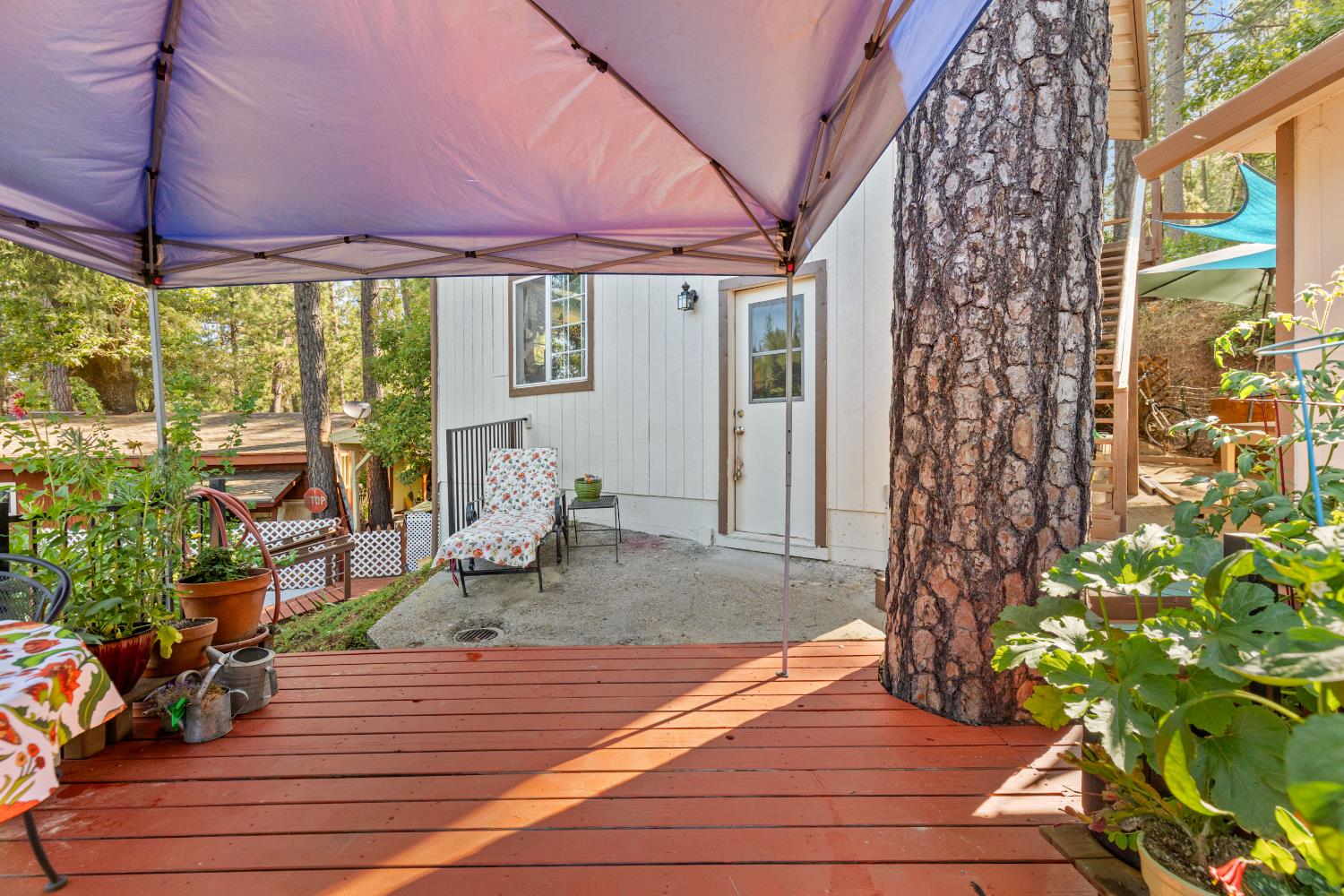 Detail Gallery Image 11 of 71 For 18507 Dunvegan Dr, Applegate,  CA 95703 - 2 Beds | 2 Baths