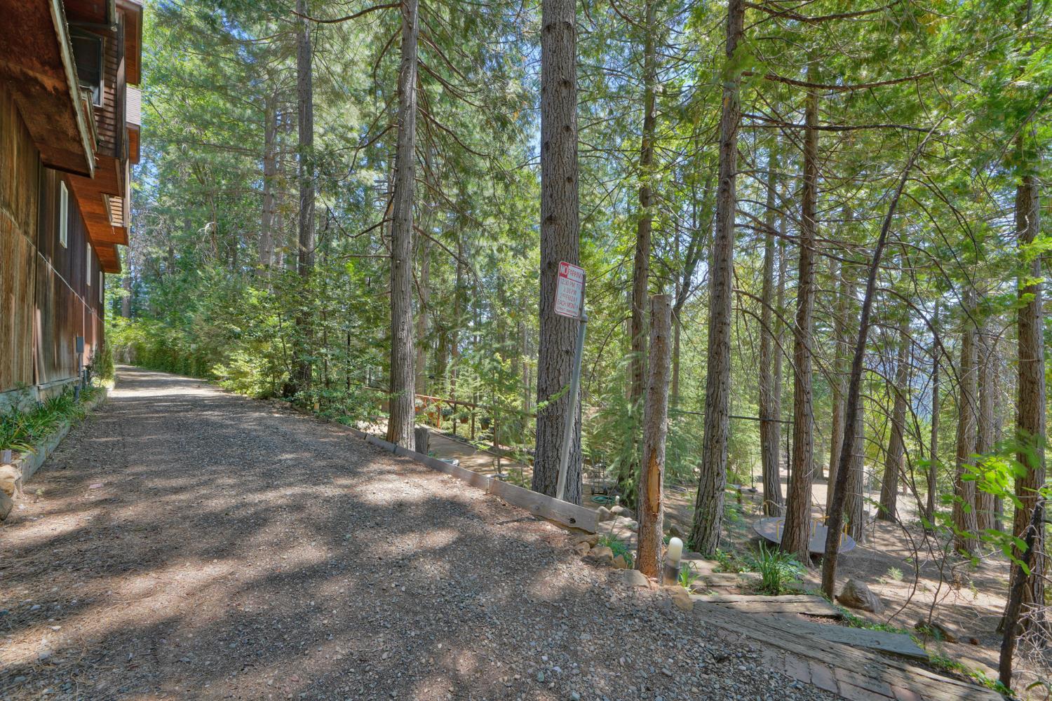 Detail Gallery Image 53 of 93 For 7501 Spring Valley Rd, Pollock Pines,  CA 95726 - 2 Beds | 1 Baths