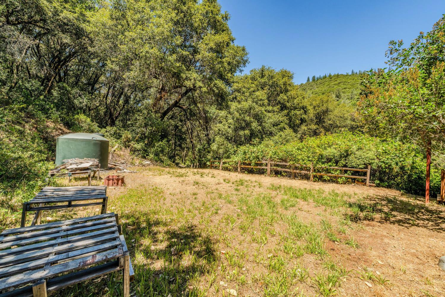 Detail Gallery Image 42 of 80 For 16000 Sutter Creek Rd, Sutter Creek,  CA 95685 - 3 Beds | 2 Baths
