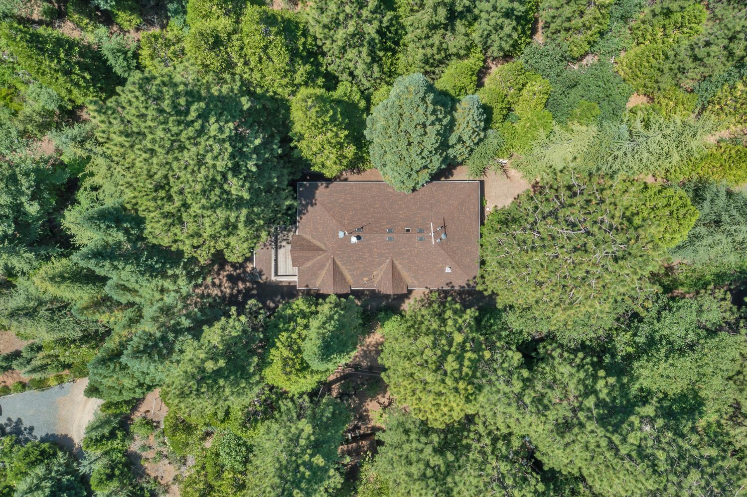 Detail Gallery Image 17 of 93 For 7501 Spring Valley Rd, Pollock Pines,  CA 95726 - 2 Beds | 1 Baths