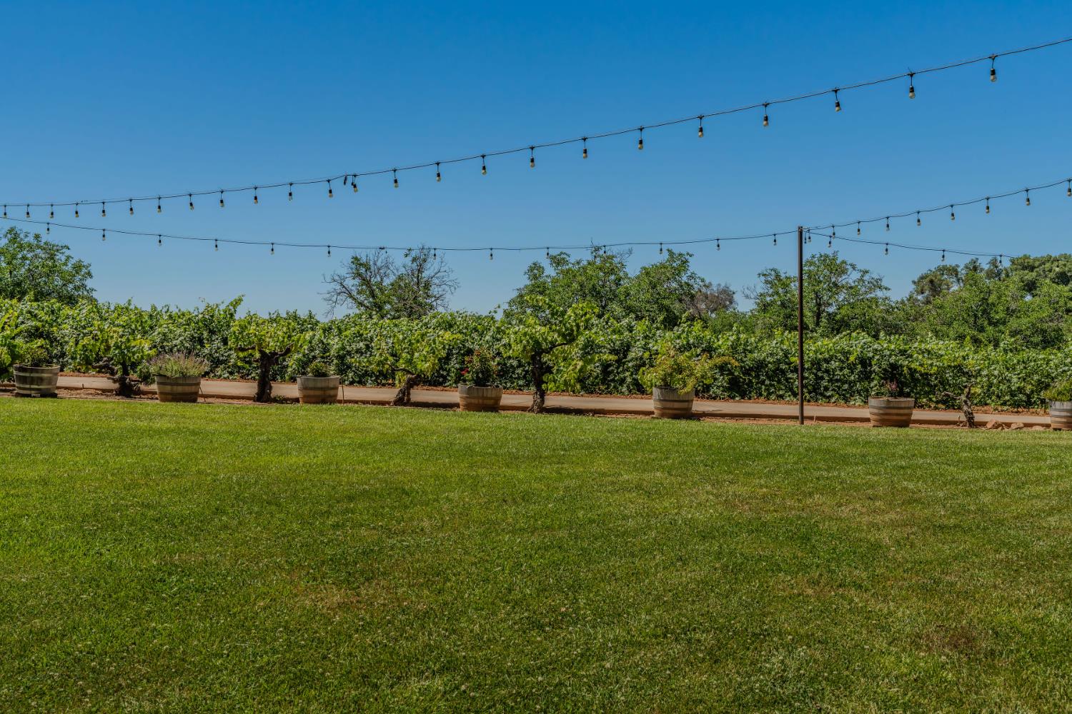 Detail Gallery Image 94 of 96 For 10786 Shenandoah Rd, Plymouth,  CA 95669 - 4 Beds | 4 Baths