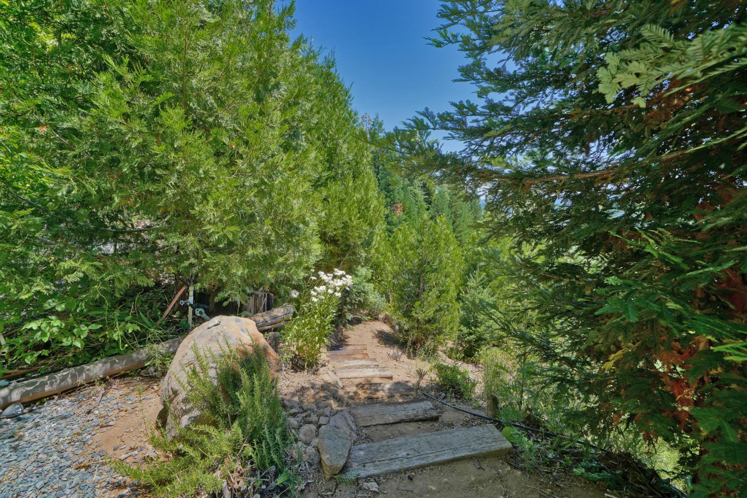 Detail Gallery Image 51 of 93 For 7501 Spring Valley Rd, Pollock Pines,  CA 95726 - 2 Beds | 1 Baths