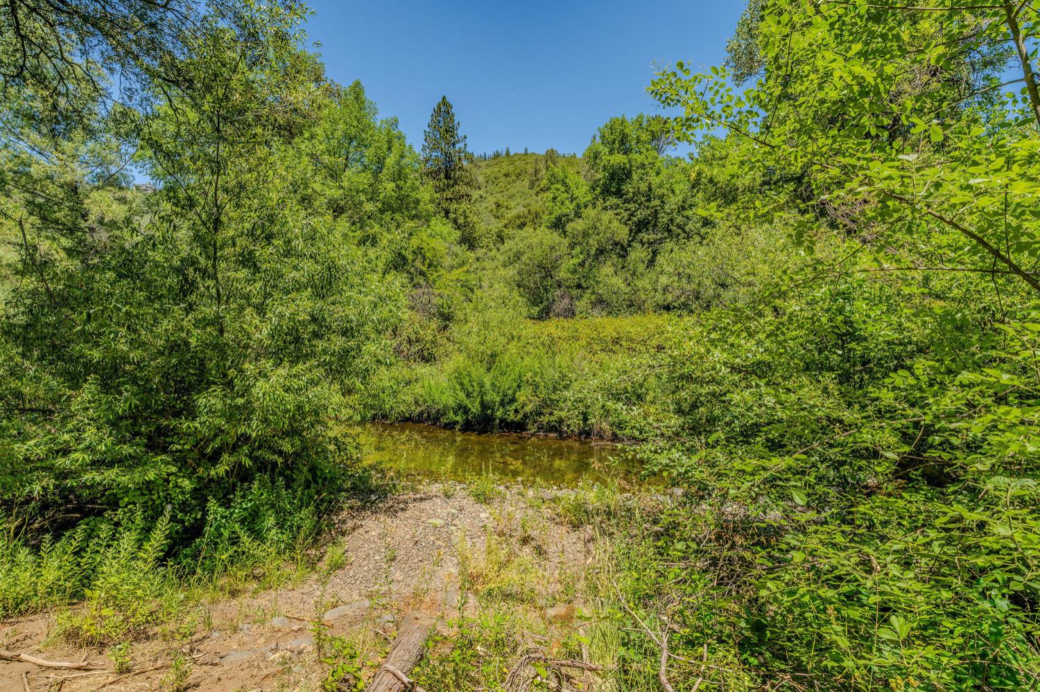 Detail Gallery Image 55 of 80 For 16000 Sutter Creek Rd, Sutter Creek,  CA 95685 - 3 Beds | 2 Baths