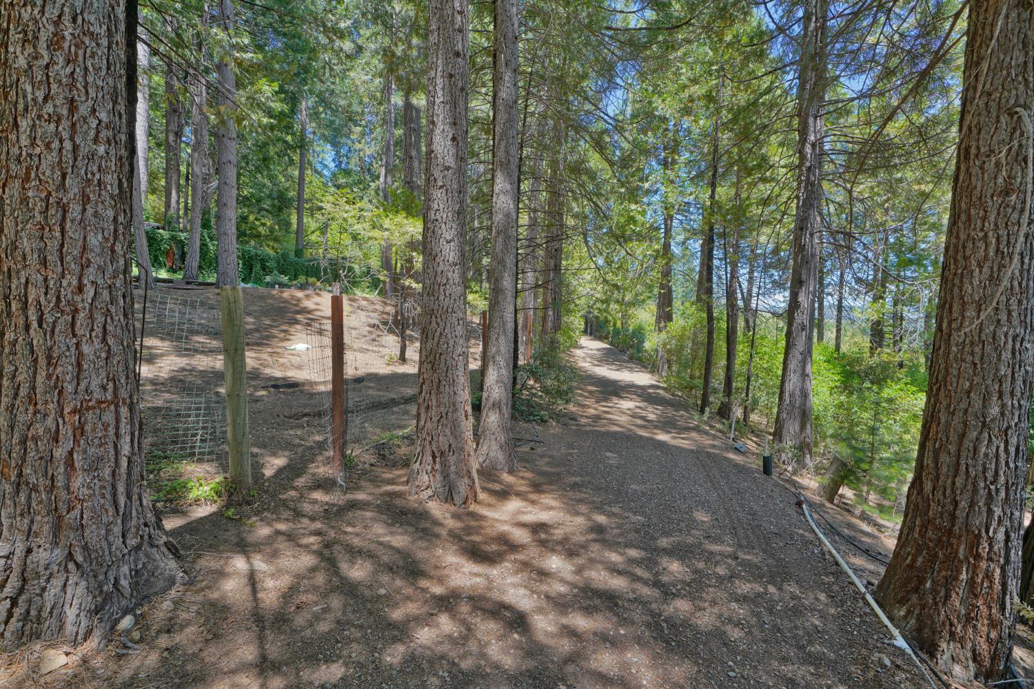 Detail Gallery Image 76 of 93 For 7501 Spring Valley Rd, Pollock Pines,  CA 95726 - 2 Beds | 1 Baths