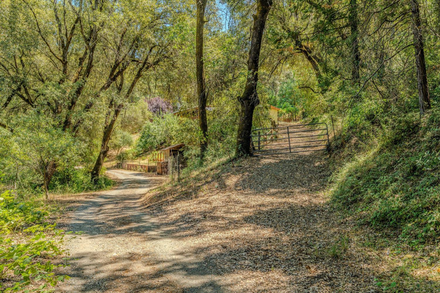 Detail Gallery Image 53 of 80 For 16000 Sutter Creek Rd, Sutter Creek,  CA 95685 - 3 Beds | 2 Baths