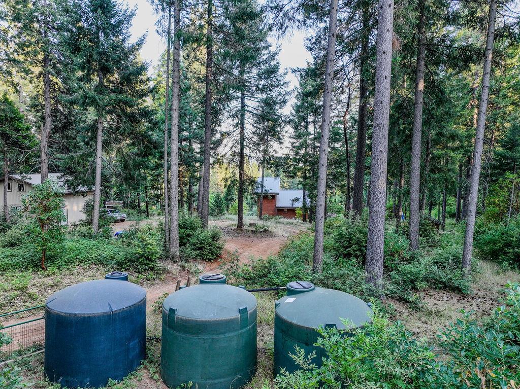 Detail Gallery Image 45 of 76 For 14843 Youngs Hill Rd, Camptonville,  CA 95922 - 2 Beds | 1 Baths