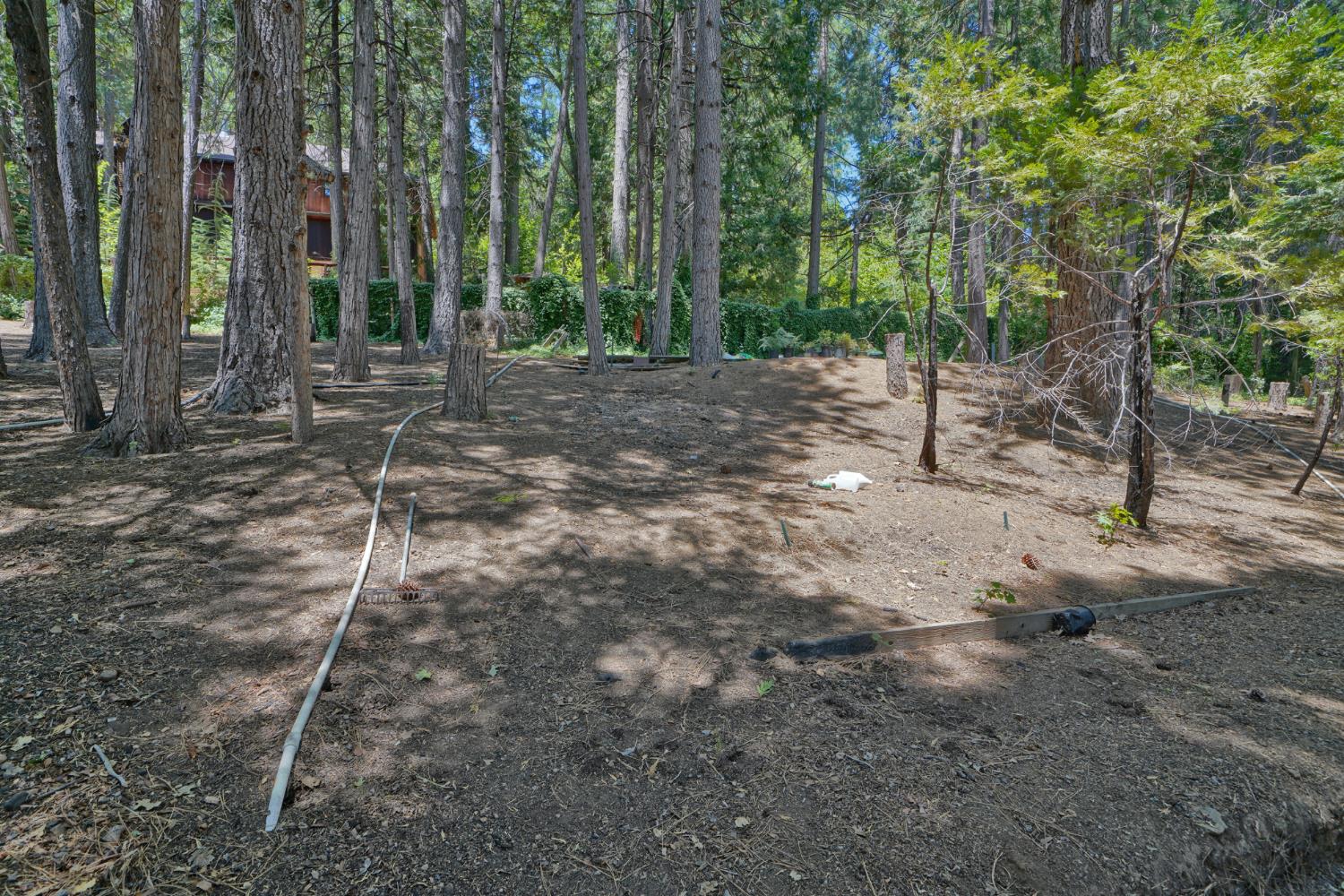 Detail Gallery Image 74 of 93 For 7501 Spring Valley Rd, Pollock Pines,  CA 95726 - 2 Beds | 1 Baths