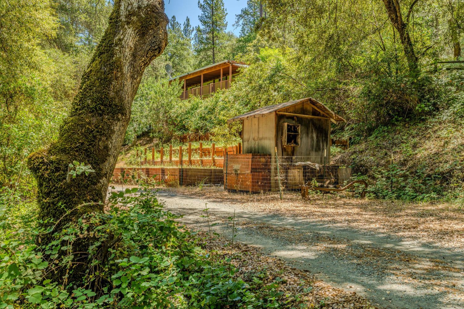Detail Gallery Image 54 of 80 For 16000 Sutter Creek Rd, Sutter Creek,  CA 95685 - 3 Beds | 2 Baths