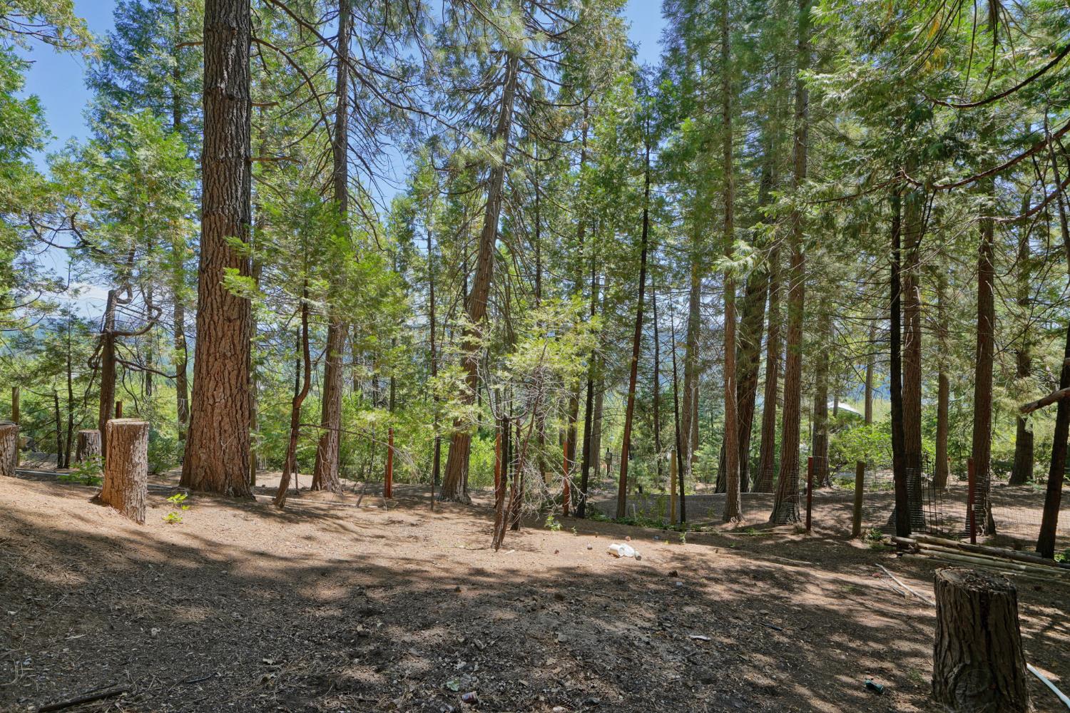 Detail Gallery Image 75 of 93 For 7501 Spring Valley Rd, Pollock Pines,  CA 95726 - 2 Beds | 1 Baths