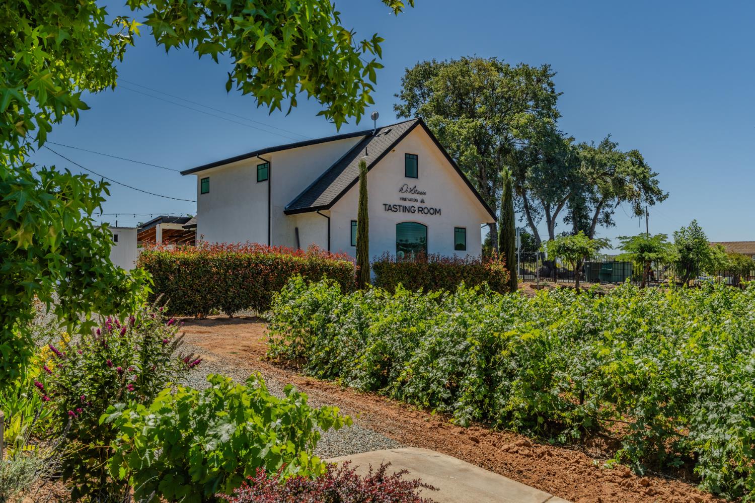 Detail Gallery Image 8 of 96 For 10786 Shenandoah Rd, Plymouth,  CA 95669 - 4 Beds | 4 Baths