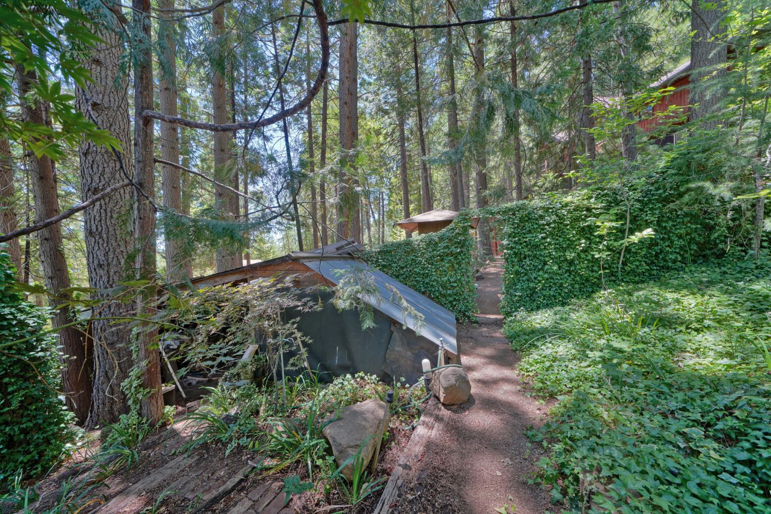 Detail Gallery Image 66 of 93 For 7501 Spring Valley Rd, Pollock Pines,  CA 95726 - 2 Beds | 1 Baths