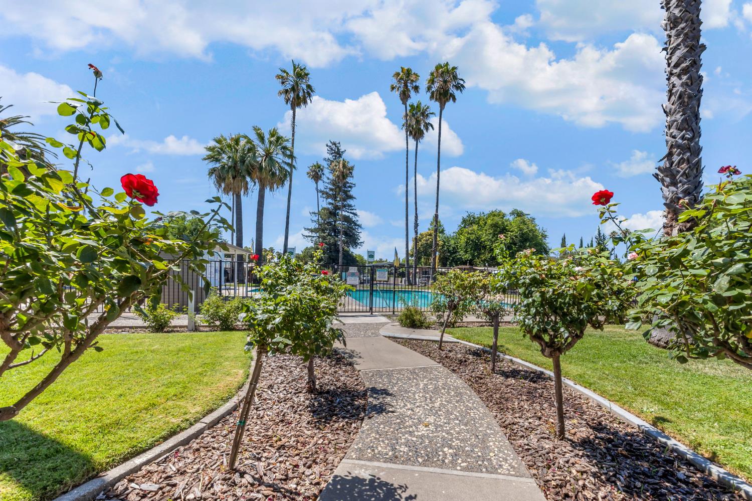 Detail Gallery Image 38 of 47 For 1050 W Capitol Ave 11, West Sacramento,  CA 95691 - 3 Beds | 2 Baths