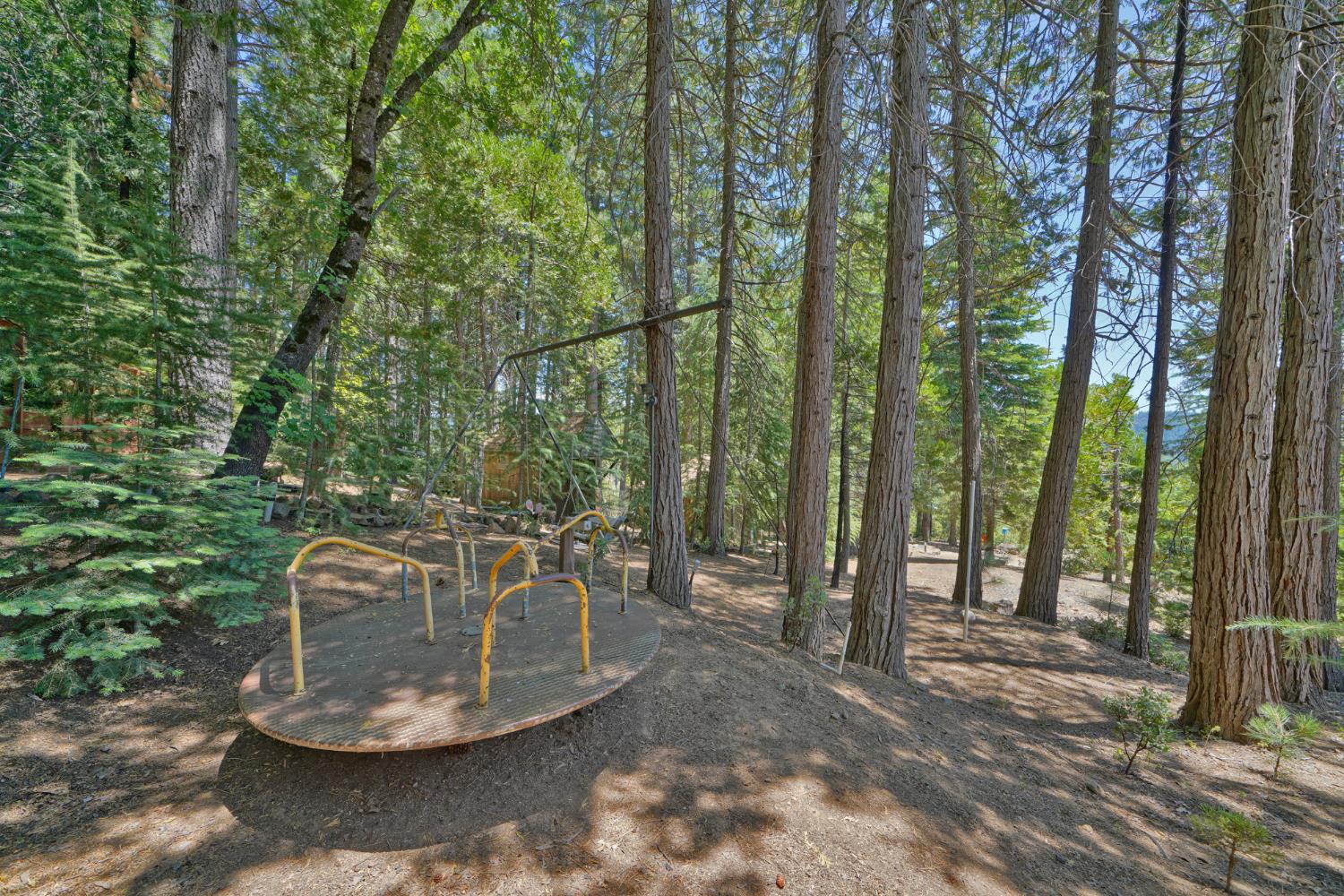 Detail Gallery Image 78 of 93 For 7501 Spring Valley Rd, Pollock Pines,  CA 95726 - 2 Beds | 1 Baths