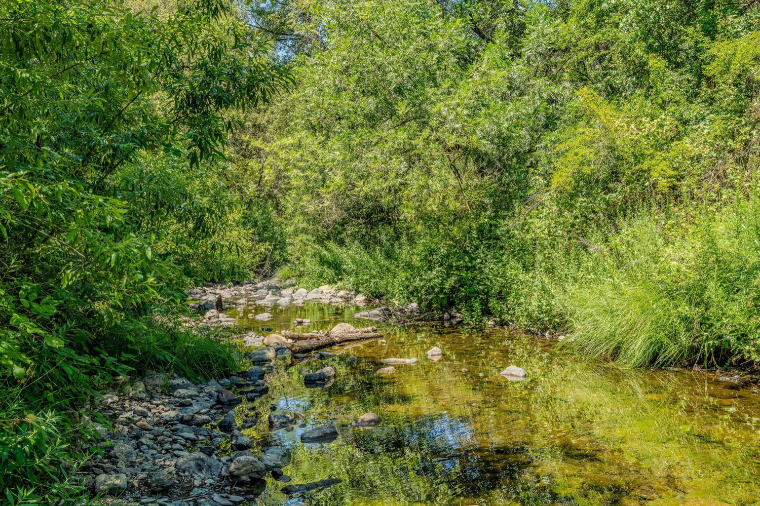 Detail Gallery Image 58 of 80 For 16000 Sutter Creek Rd, Sutter Creek,  CA 95685 - 3 Beds | 2 Baths