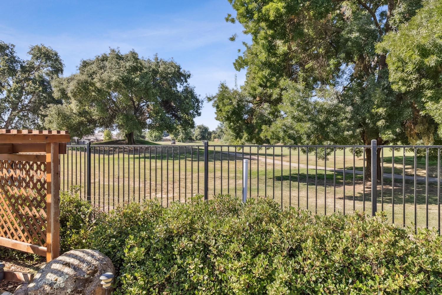 Detail Gallery Image 53 of 75 For 1602 Shakeley, Ione,  CA 95640 - 3 Beds | 2 Baths