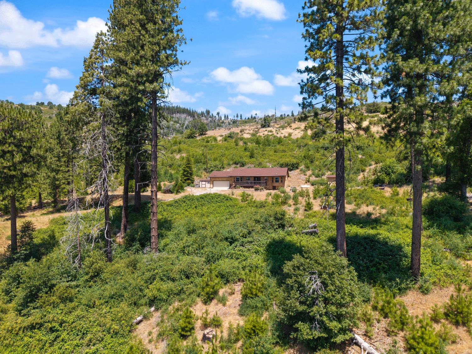 Detail Gallery Image 35 of 37 For 8009 Spring Valley Rd, Pollock Pines,  CA 95726 - 3 Beds | 2 Baths