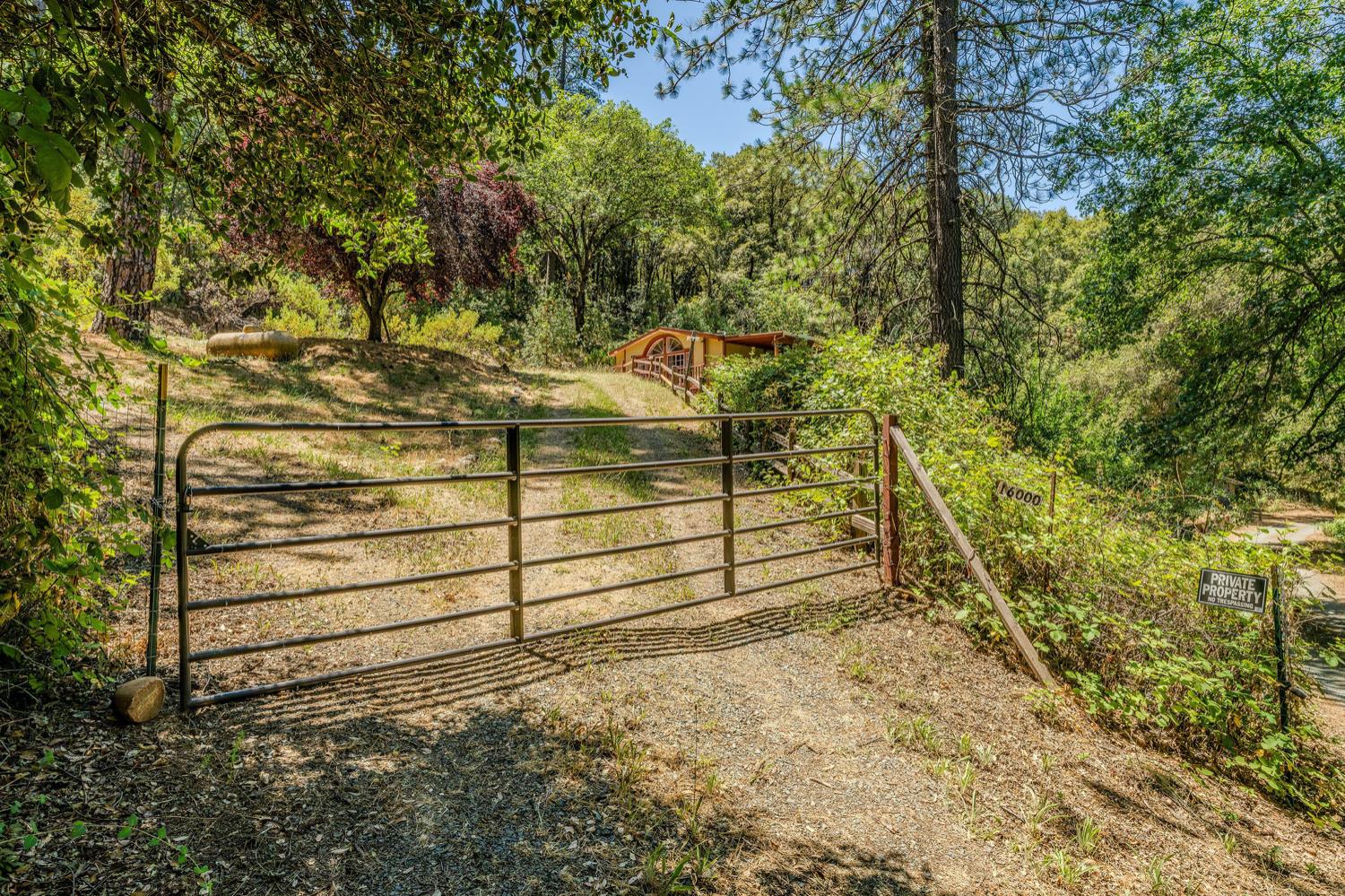 Detail Gallery Image 47 of 80 For 16000 Sutter Creek Rd, Sutter Creek,  CA 95685 - 3 Beds | 2 Baths