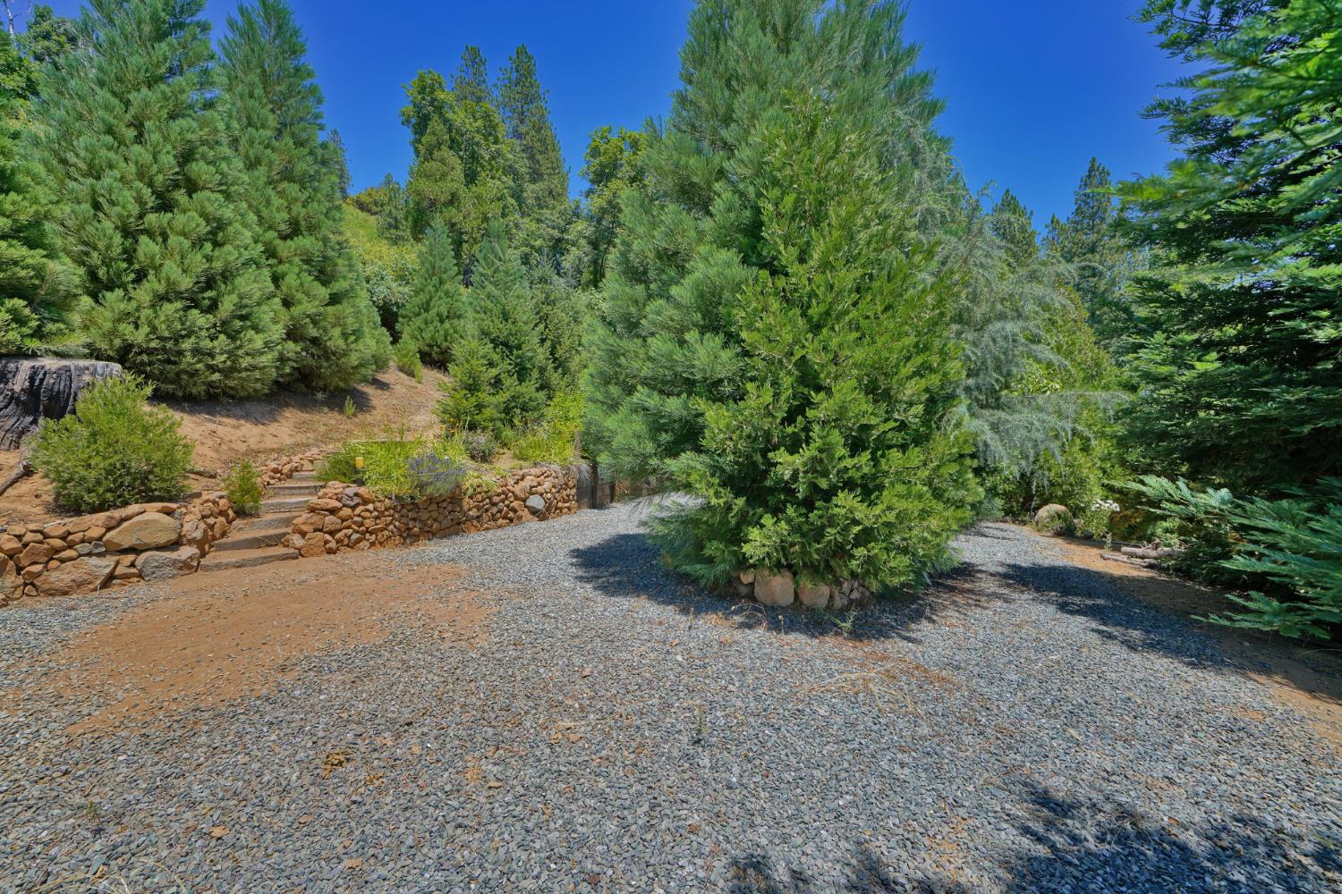 Detail Gallery Image 49 of 93 For 7501 Spring Valley Rd, Pollock Pines,  CA 95726 - 2 Beds | 1 Baths