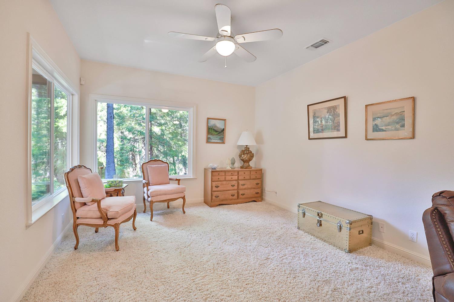 Detail Gallery Image 21 of 38 For 4351 Puerta Del Sol, Camino,  CA 95709 - 3 Beds | 2/1 Baths