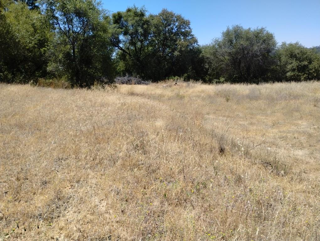Detail Gallery Image 12 of 25 For 17919 Kemo Ln, Penn Valley,  CA 95946 - – Beds | – Baths