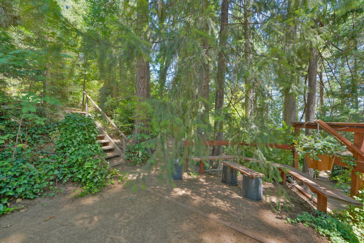 Detail Gallery Image 55 of 93 For 7501 Spring Valley Rd, Pollock Pines,  CA 95726 - 2 Beds | 1 Baths