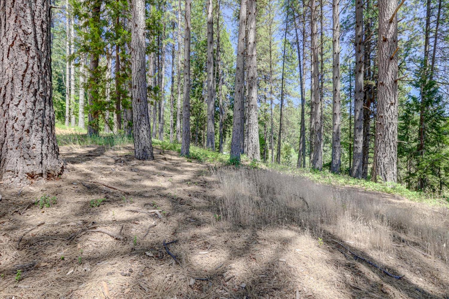 Detail Gallery Image 28 of 44 For 262 W Olympia Dr, Grass Valley,  CA 95945 - – Beds | – Baths
