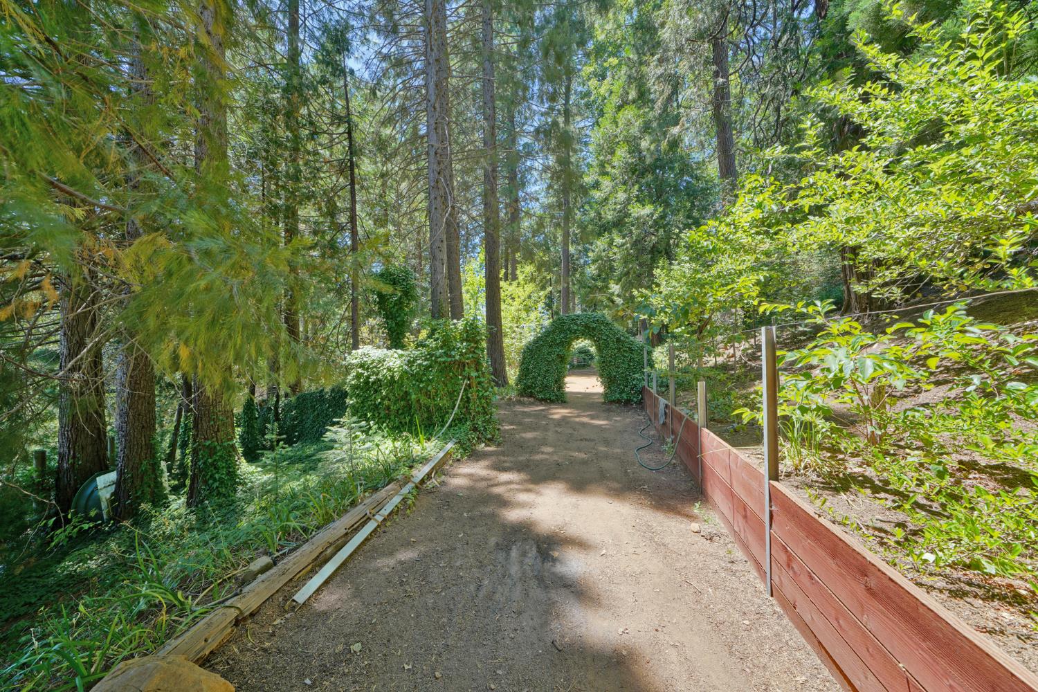 Detail Gallery Image 64 of 93 For 7501 Spring Valley Rd, Pollock Pines,  CA 95726 - 2 Beds | 1 Baths