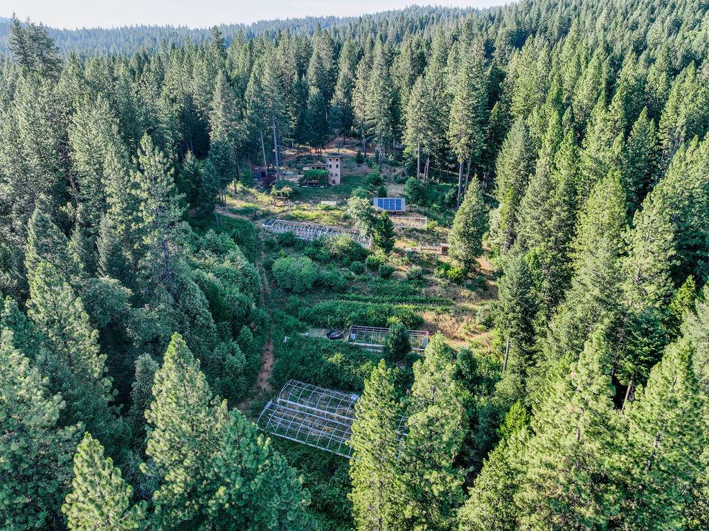 Detail Gallery Image 32 of 76 For 14843 Youngs Hill Rd, Camptonville,  CA 95922 - 2 Beds | 1 Baths